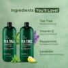 Botanic Hearth Tea Tree Shampoo and Conditioner Set - with 100% Pure Tea Tree Oil, for Itchy and Dry Scalp, Sulfate/ Paraben Free - for Men and Women - 16 fl oz each available for sale in United States on Amazon.com