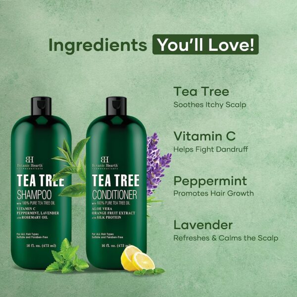 Botanic Hearth Tea Tree Shampoo and Conditioner Set - with 100% Pure Tea Tree Oil, for Itchy and Dry Scalp, Sulfate/ Paraben Free - for Men and Women - 16 fl oz each available for sale in United States on Amazon.com