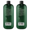 Botanic Hearth Tea Tree Shampoo and Conditioner Set - with 100% Pure Tea Tree Oil, for Itchy and Dry Scalp, Sulfate/ Paraben Free - for Men and Women - 16 fl oz each available for sale in United States on Amazon.com