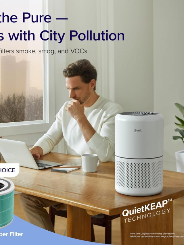 cropped-LEVOIT-Air-Purifier-for-Home-4.jpg