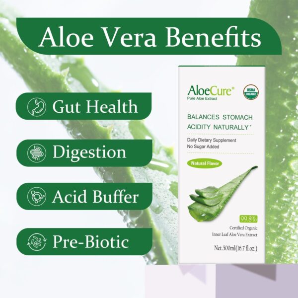 AloeCure USDA Organic Aloe Vera Juice Made Within 12 Hrs of Harvest - Pure Aloe Juice Natural Digestive Supplement to Support Digestion, Immune System and Balanced Stomach Acidity, 2 x 500ml Bottles