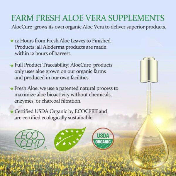 AloeCure USDA Organic Aloe Vera Juice Made Within 12 Hrs of Harvest - Pure Aloe Juice Natural Digestive Supplement to Support Digestion, Immune System and Balanced Stomach Acidity, 2 x 500ml Bottles