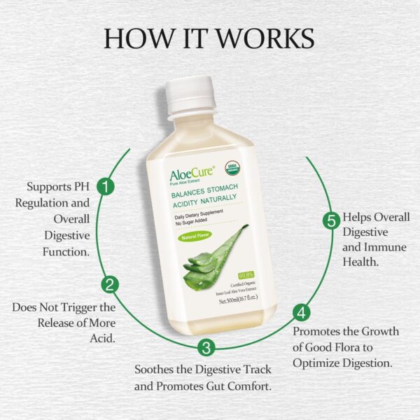 AloeCure USDA Organic Aloe Vera Juice Made Within 12 Hrs of Harvest - Pure Aloe Juice Natural Digestive Supplement to Support Digestion, Immune System and Balanced Stomach Acidity, 2 x 500ml Bottles